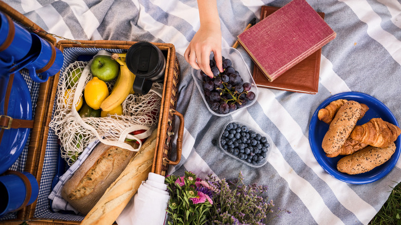 tablecloth used as picnic blanket