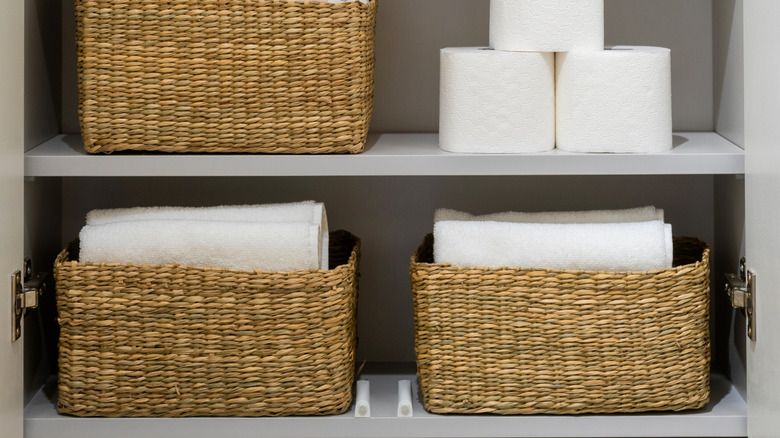 Toilet paper sits on a cabinet shelf.