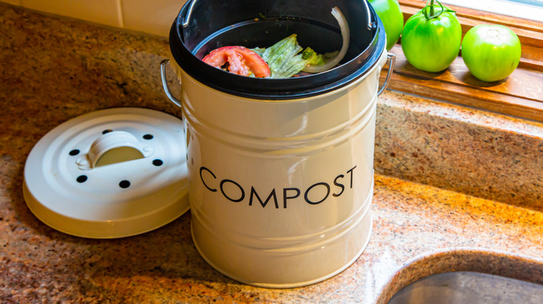 White compost bin on the kitchen counter with some food scraps inside it