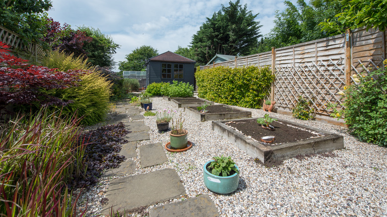 Raised wooden beds in a gravel garden