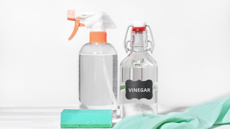 Vinegar and a spray bottle