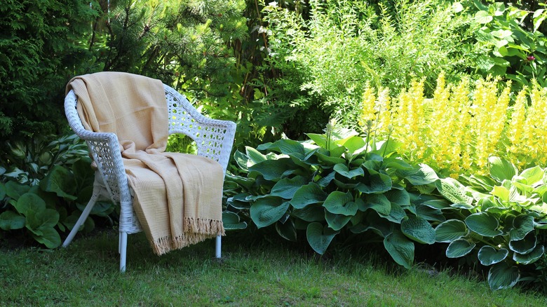 Wicker chair on lawn