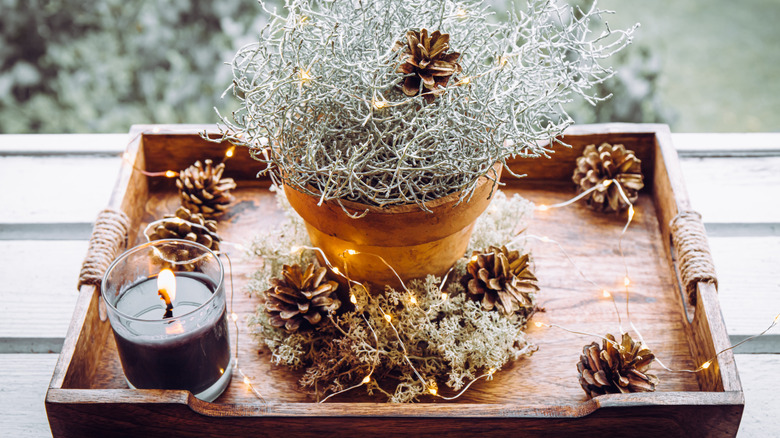 A centerpiece with wooden tray and pine cones creates an earth-toned theme.