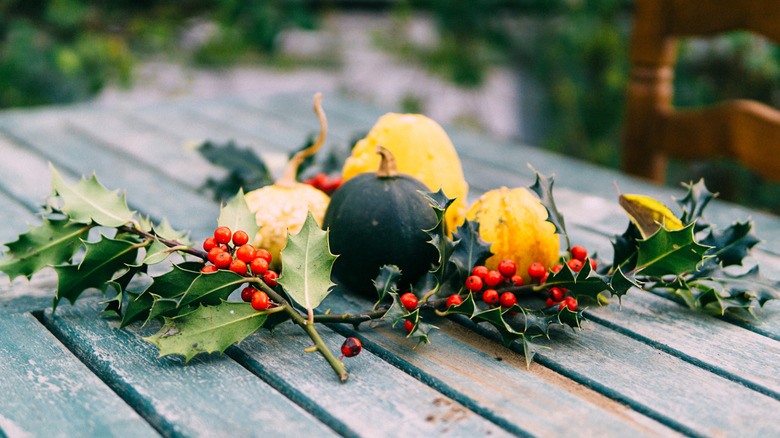 A spare but colorful display includes gourds and sprigs of fresh cut holly with berries.