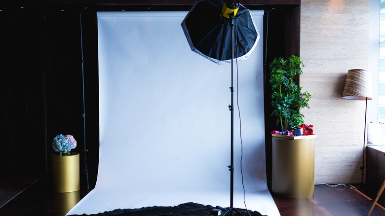 DIY indoor photography backdrop