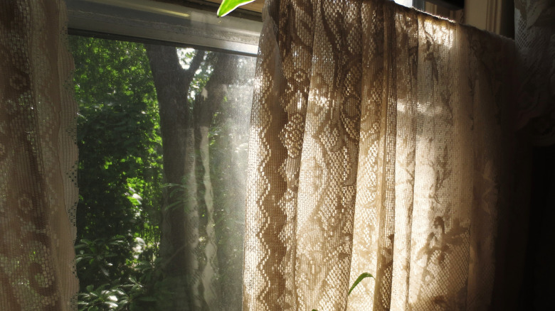 Antique lace curtains on a kitchen window