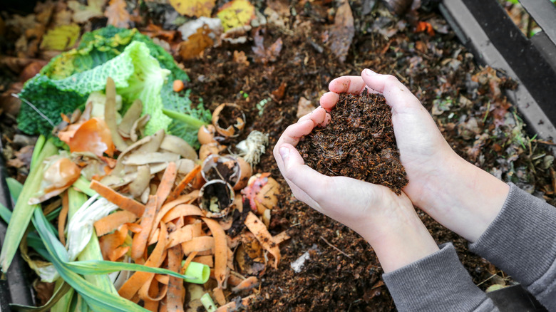 person composting with food scraps
