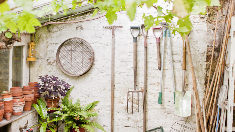 garden tools on shed