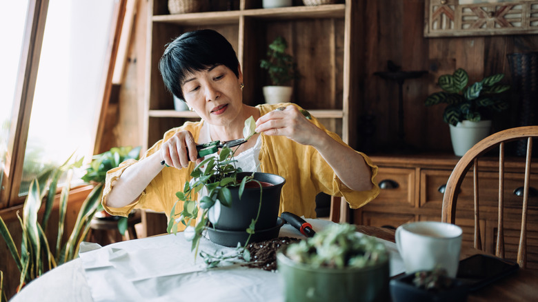 older woman caring for her plants