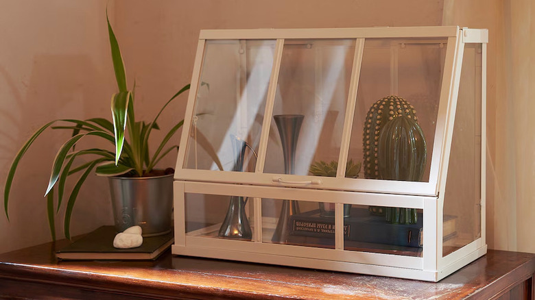 Tabletop greenhouse on desk