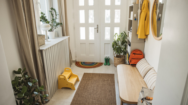 A potted plant in the corner next to the front door