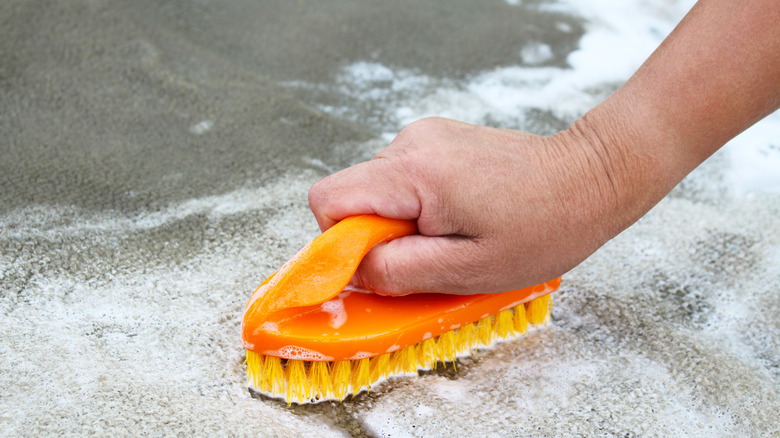 scrubbing carpet with a brush