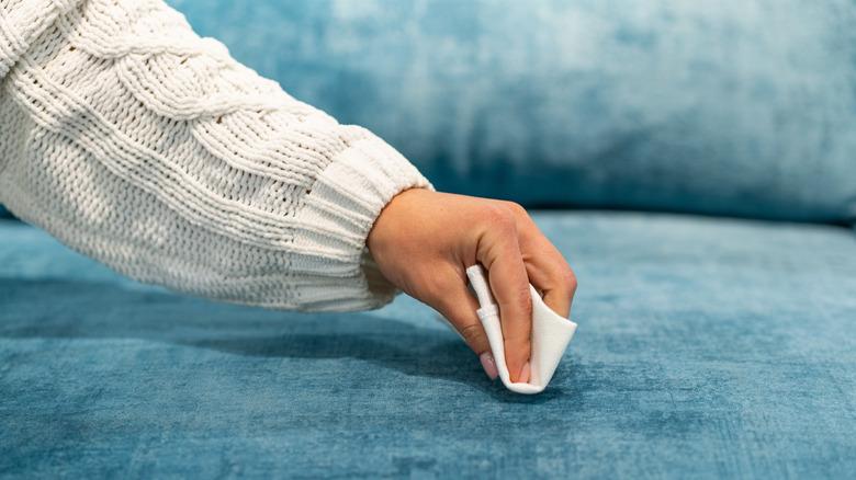 hand cleaning blue sofa