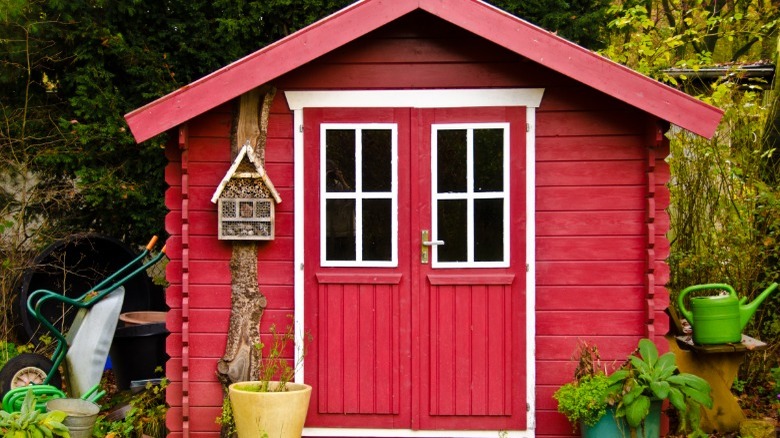 Cute red outdoor shed 