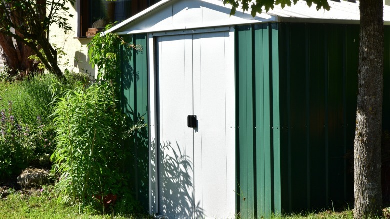 Outdoor storage shed near tree