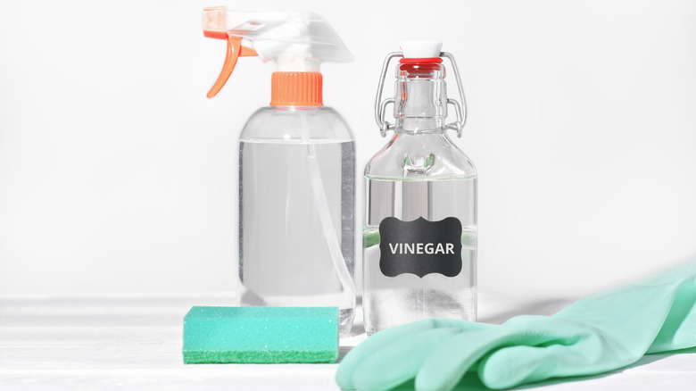 homemade vinegar cleaning spray