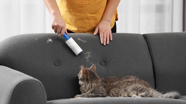 woman cleaning pet hair with a lint roller