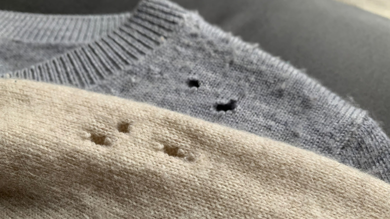 moth holes in sweaters