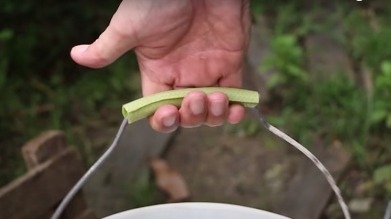 Hand holding a bucket with a piece of garden hose cushioning the handle