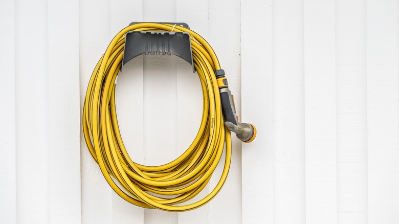 Yellow coiled garden hose hanging on a white wall