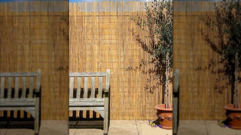 Bamboo screen covering fence of a home