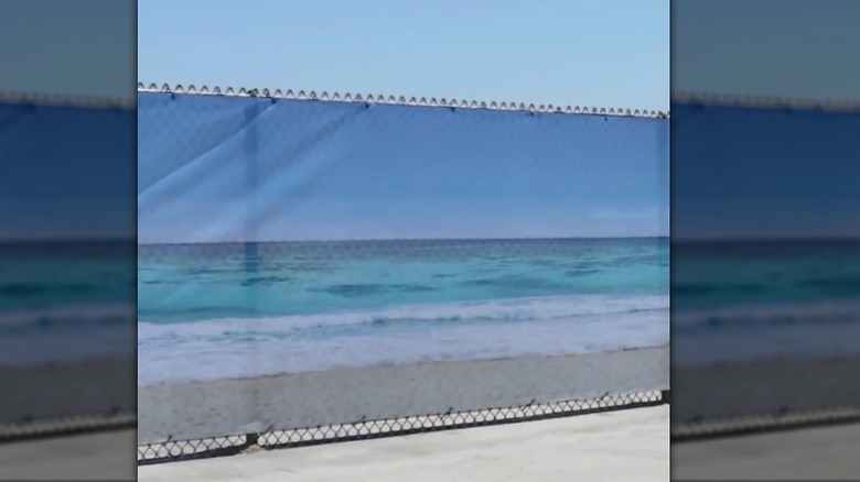 Custom mesh banner of ocean design on a chain link fence