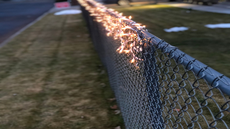 String lights wrapped on a chain link fence in a yard