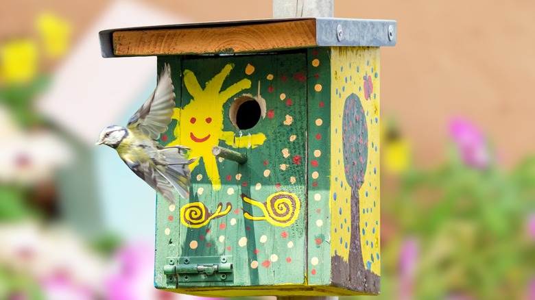 bird flying near colorful wooden birdhouse