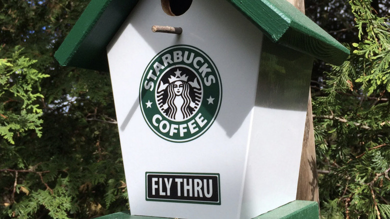 starbucks birdhouse