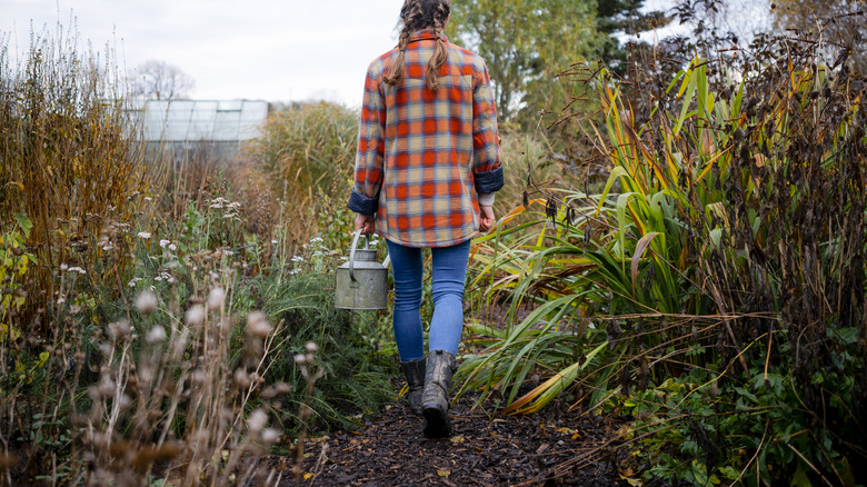 Gardener walking in a garden with a watering can