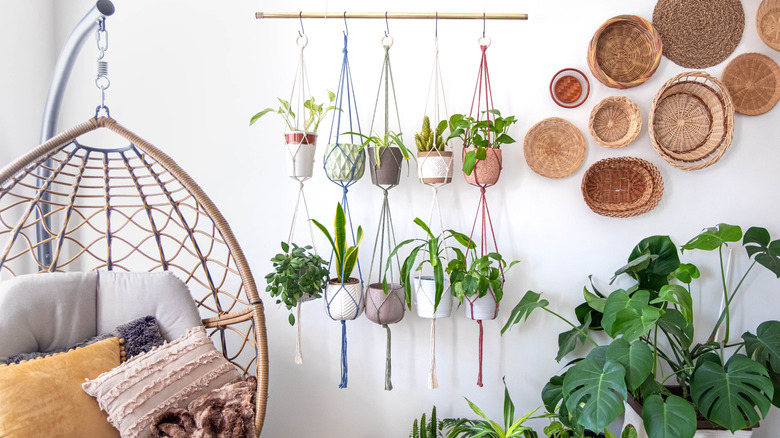 Boho space with baskets and plants on the walls and a hanging chair