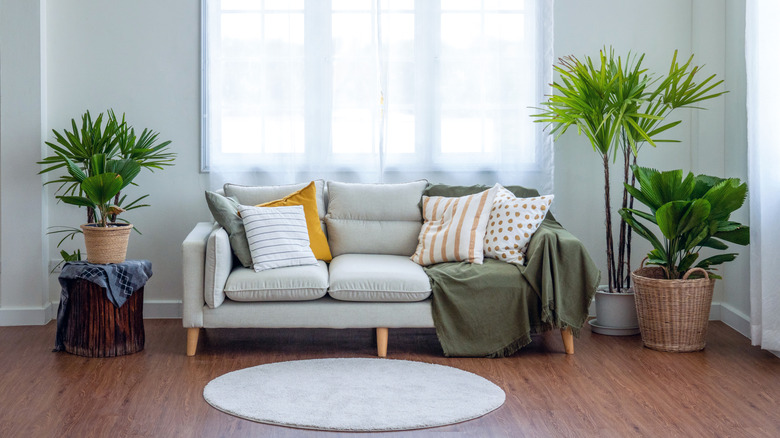 Grey living room with grey couch and green and yellow accents