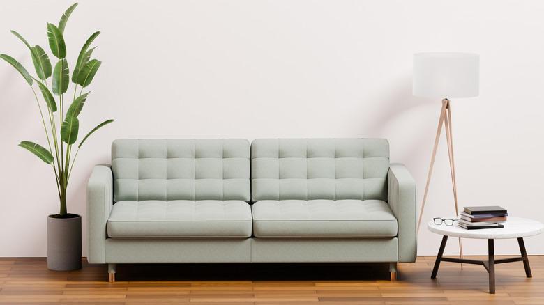 Standard couch in white room with lamp, endtable and green plant