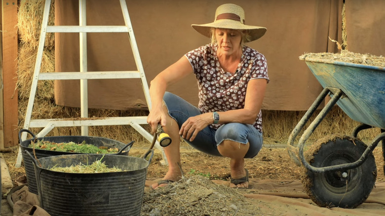 woman creating chicken manure compost