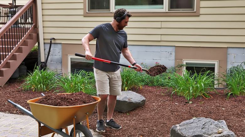 man applying mulch in his yard