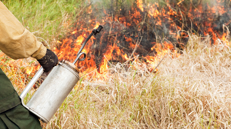 man holding a canister during a controlled burn