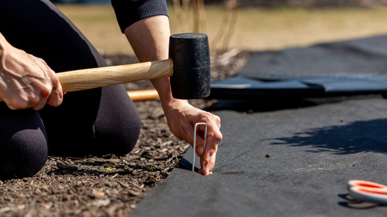 Person driving a gardening stake into landscape fabric