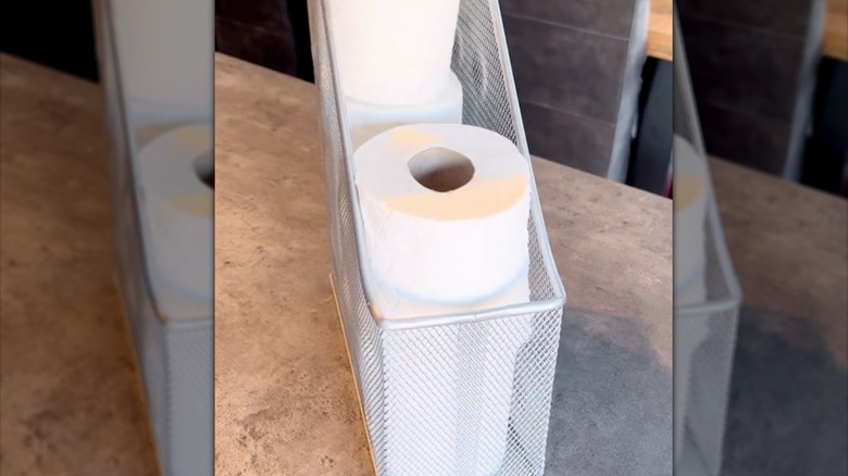 Rolls of toilet paper in metal file holder