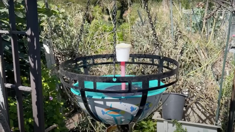 hanging water fountain with k-cup bubbler