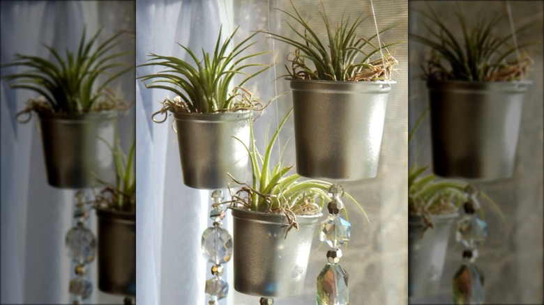 silver hanging planters with beads