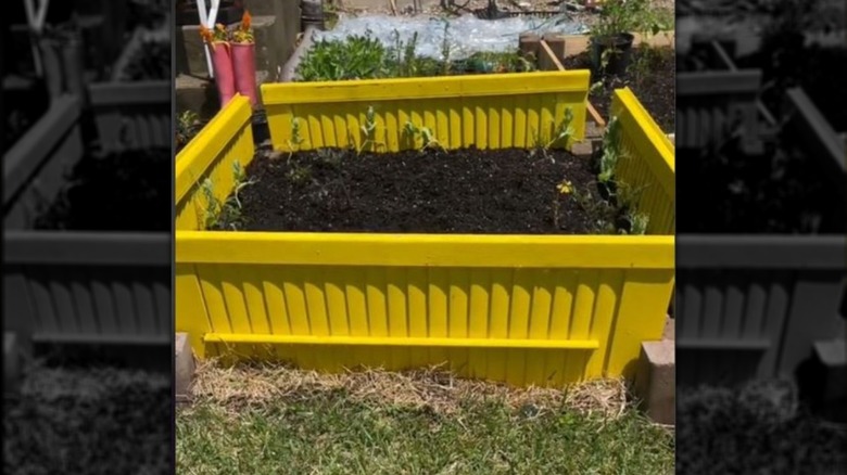 Bright yellow shutters serve as the walls of a garden bed.