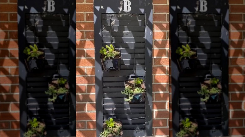 A black shutter has three hooks with small planters hanging from them.