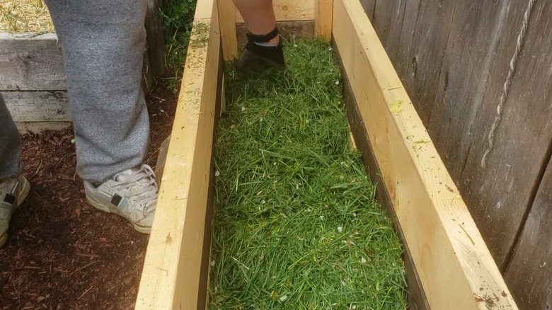 Grass clippings in raised beds