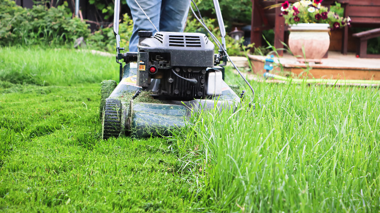 Cutting tall grass