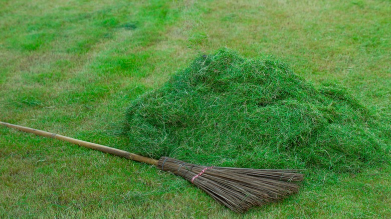 Grass clippings on lawn