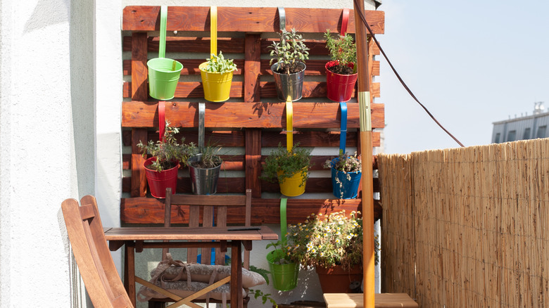 Plants hanging from pallet