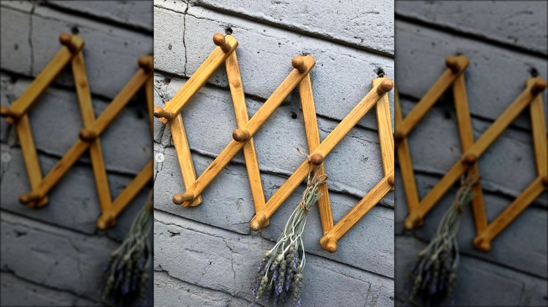 dried flowers on accordion rack