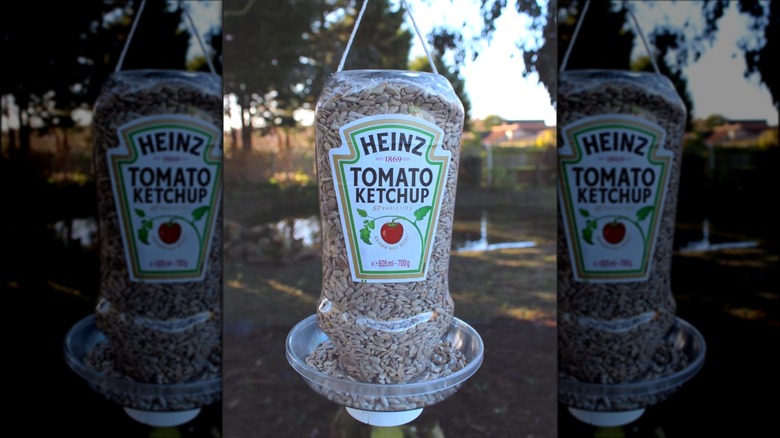 birdseed in ketchup bottle