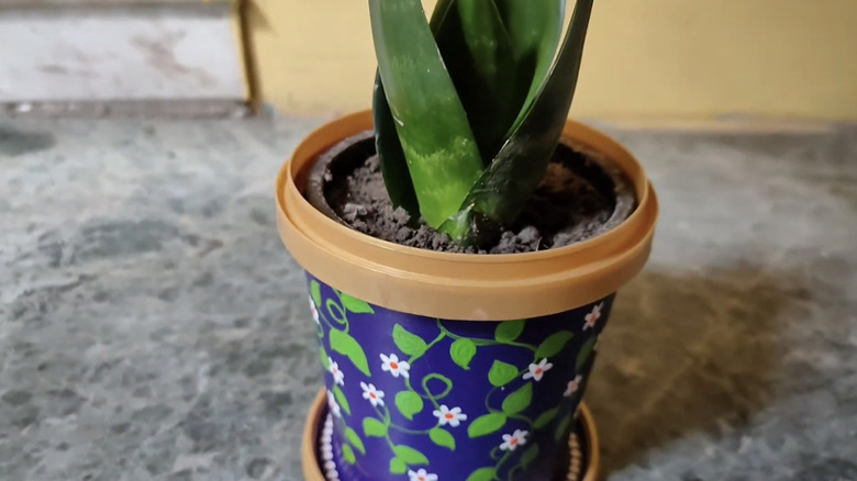 DIY ice cream pint planter