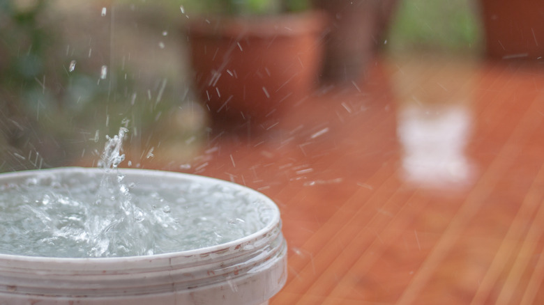 Bin for rainwater